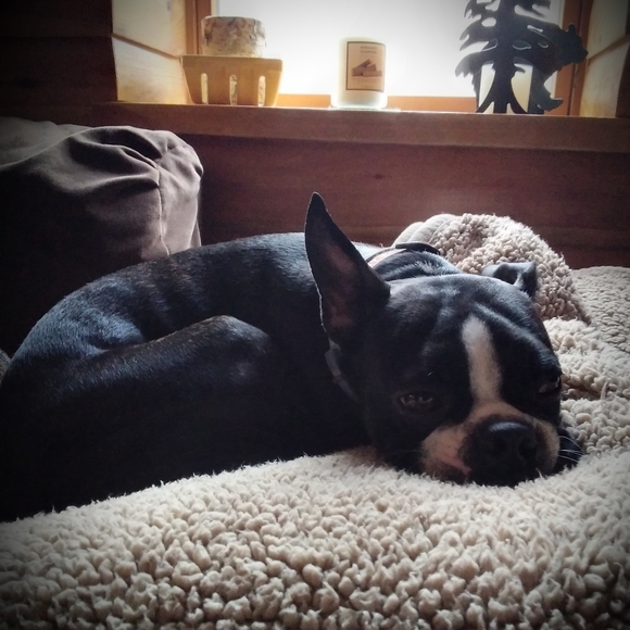 ANGEL IS LIVE!! LIKE THIS SHOW NOTIFICATION! 🙂🙃😊 - Picture 4 of 10